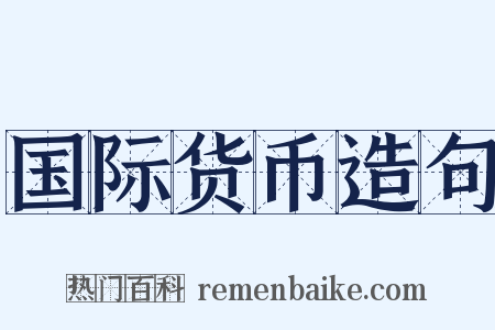 国际货币造句是什么意思的图片